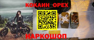 2c-b Кингисепп
