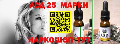 2c-b Кингисепп