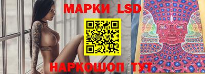 2c-b Кингисепп